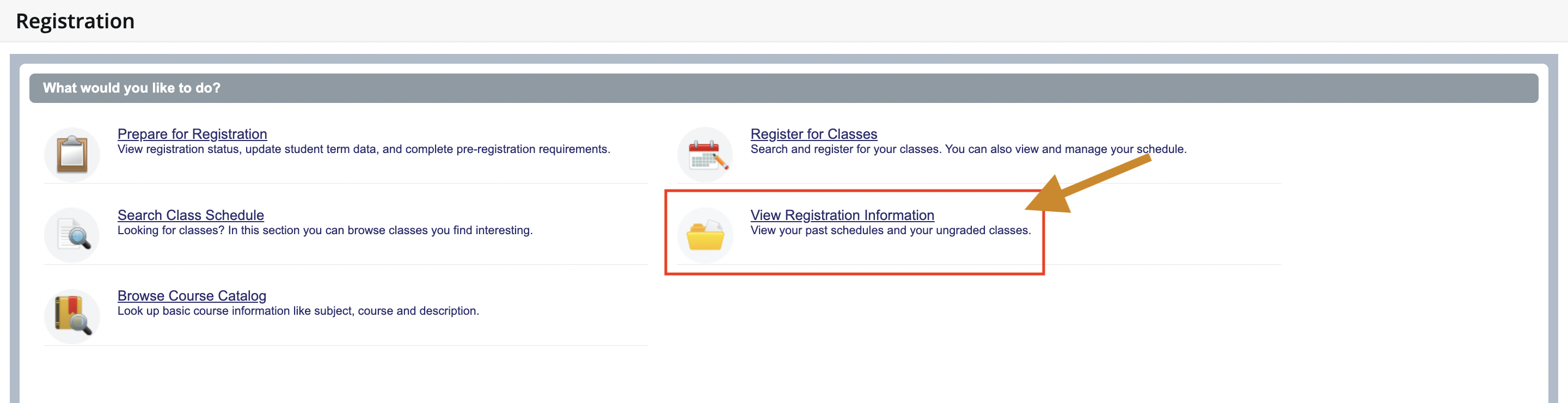 View Registration Info Screenshot