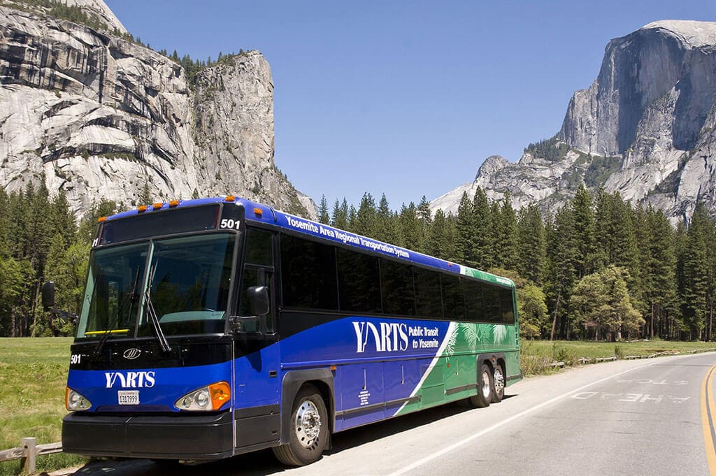 The Bus