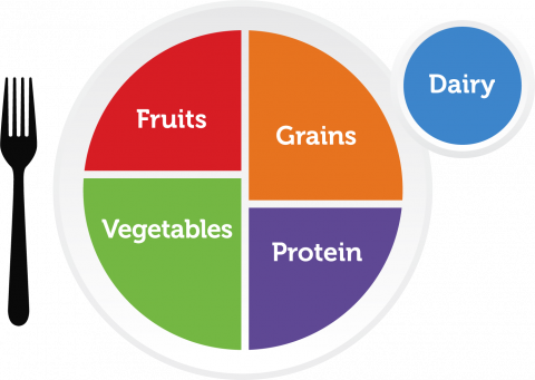 MyPlate Healthy Food